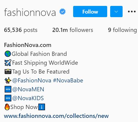 Snapshot Of Fashionnova Instagram Biography. Bio Includes Brand Hashtag, Outlinks And Website Link